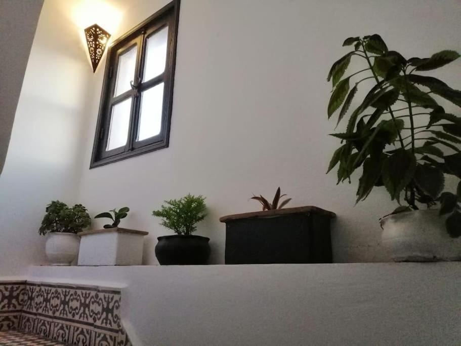 Charmant riad pour familles ou groupes - Dar Mama Essaouira Extérieur photo